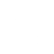Dream in Silk Logo